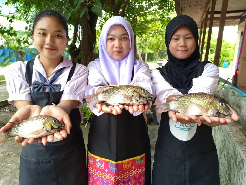 “ข้าวตังปลาหย็อง YOUNG ตัง” ไอเดียจากเด็กหัวไทร จากปลาตัวป่วนสู่ของอร่อย