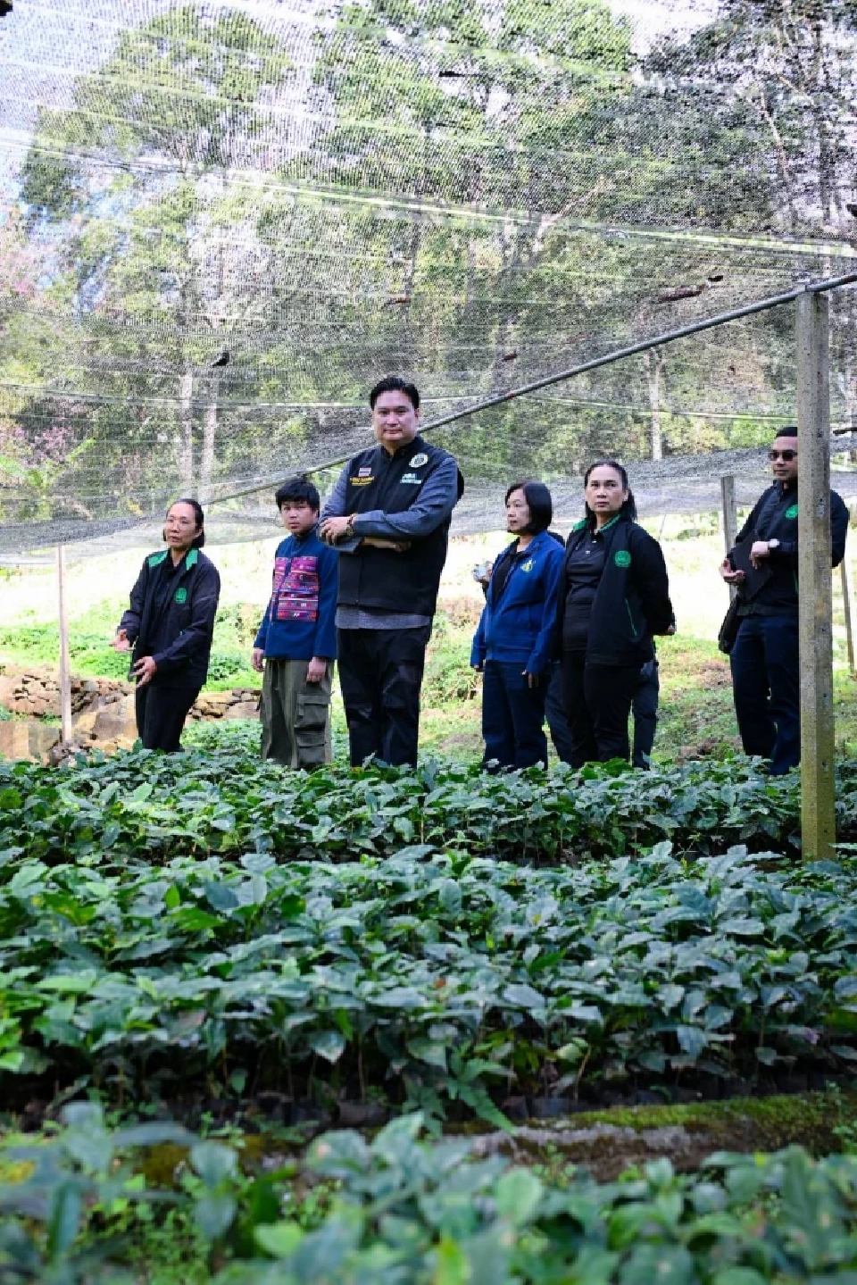 อธิบดีกรมวิชาการเกษตร "บุกเชียงราย ดัน ‘กาแฟล้านต้น’ ปั้นไทยสู่ฮับกาแฟพรีเมียมโลก
