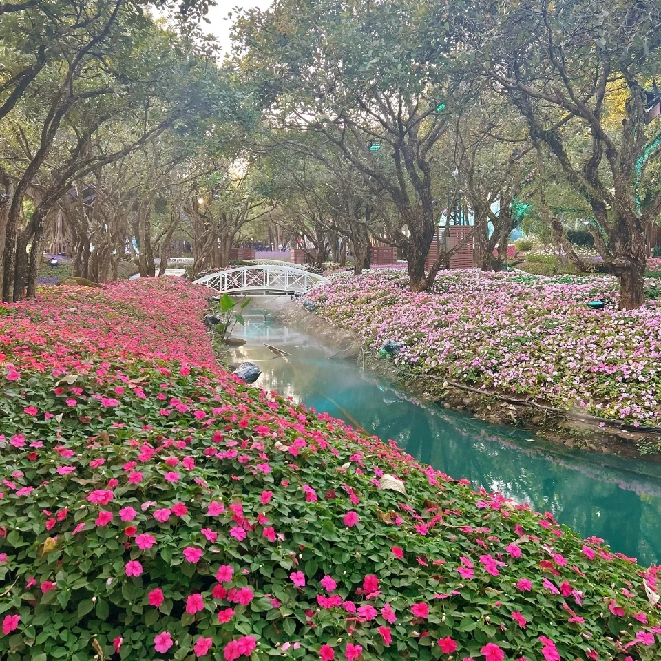 ชวนปักหมุดเที่ยวงานมหกรรมไม้ดอกอาเซียน -เคาท์ดาวน์เชียงราย 2026