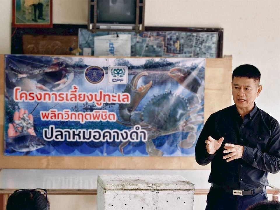 ปูขาวอินทรีย์เมืองคอน กลยุทธ์ "ลดต้นทุน-สร้างรายได้" ด้วยปลาหมอคางดำ