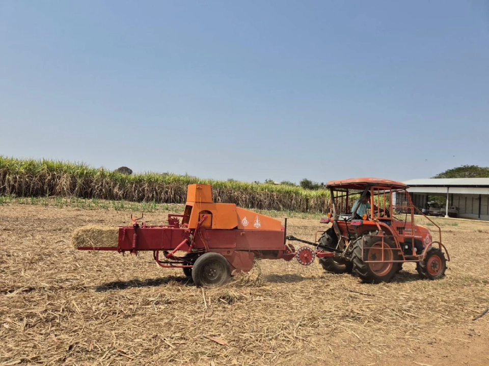 รองนายกฯ สั่งคุมเข้มโรงงานน้ำตาล-ชีวมวล ลด PM2.5 ก่อนเข้าสู่ฤดูเสี่ยง