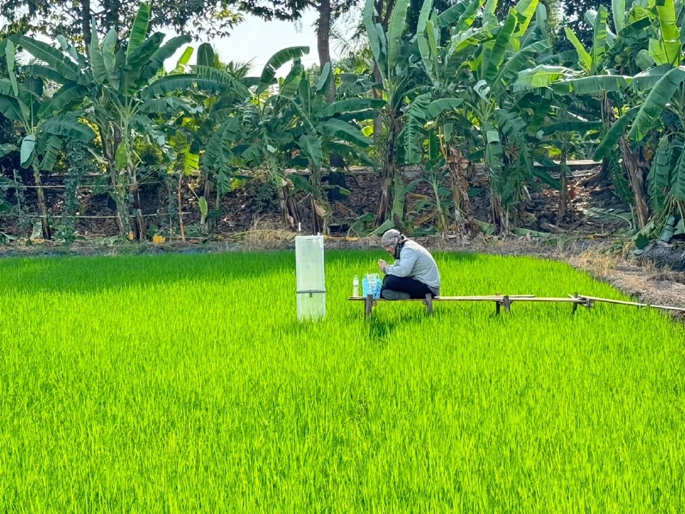 "พีรพันธ์ คอทอง" เลขา สศก. แถลงจีดีพีเกษตรไทย ปี 2668 โตแกร่ง 3.3%