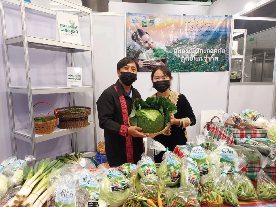 ผัก ‘ภูทับเบิก’ บุกโมเดิร์นเทรด ดัน GAP–อินทรีย์ เพิ่มมูลค่าเกษตรกรพื้นที่สูง