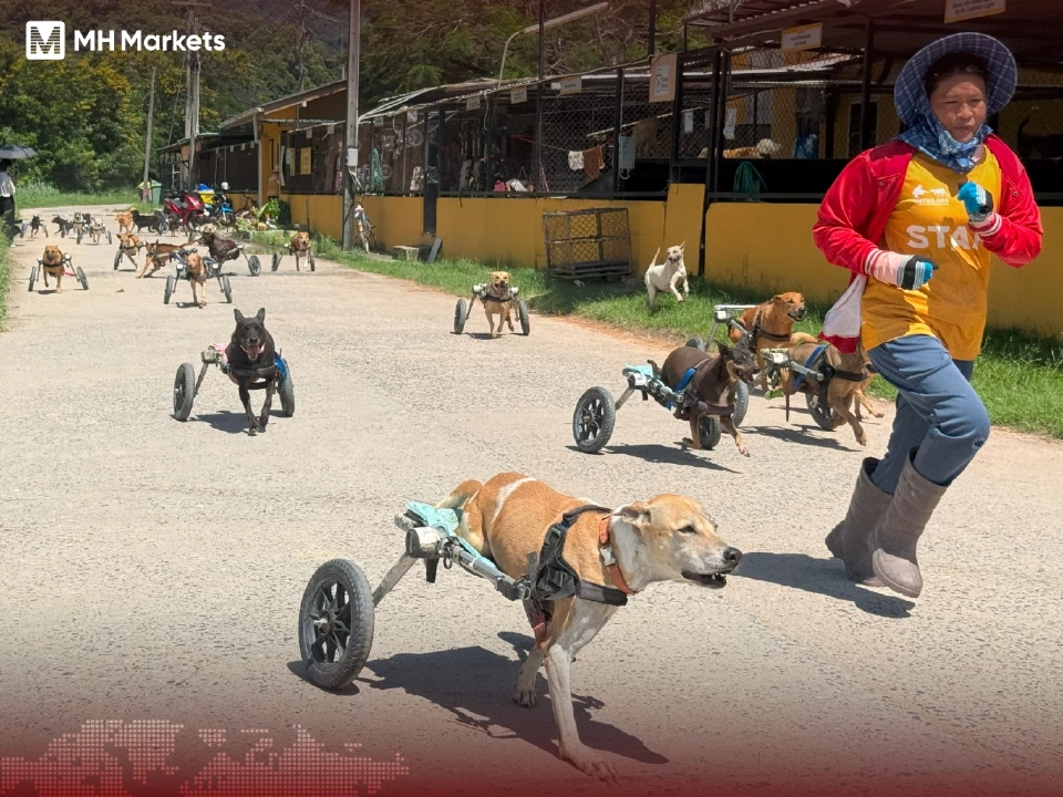 MH Markets ลงพื้นที่ชลบุรี มอบอาหารสุนัขหนุนมูลนิธิ The Man That Rescues Dogs