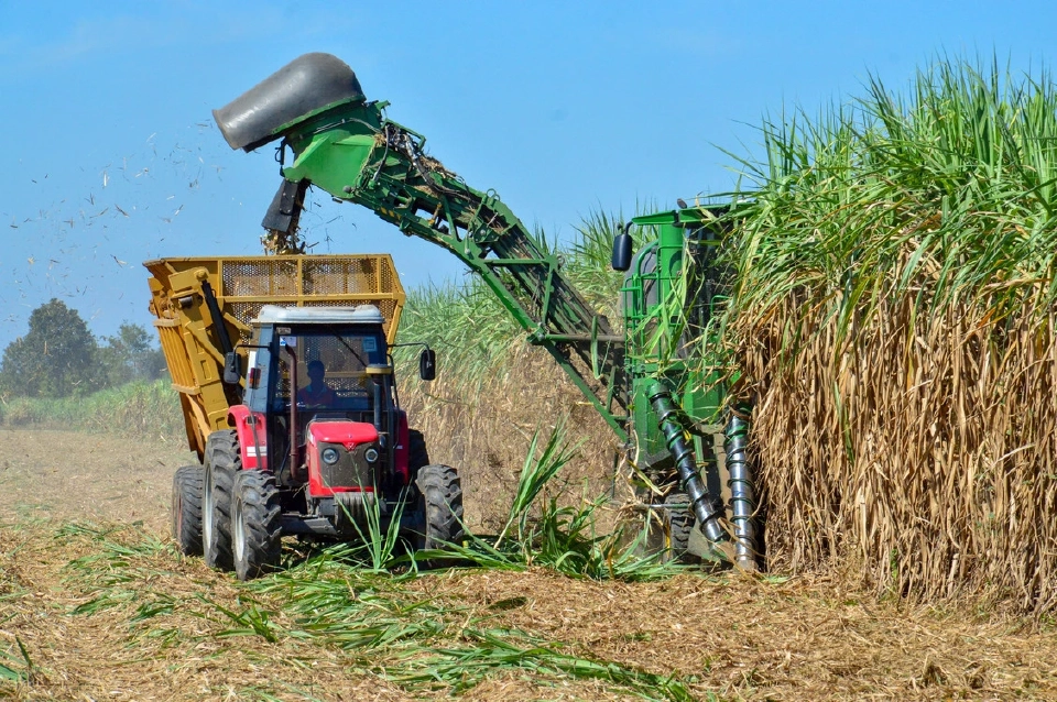 มิตรผลเดินหน้า “นะโม ตัดสด” ชวนเกษตรกรตัดอ้อยสด สร้างรายได้–ลดเผา สู่พลังงานสะอาด