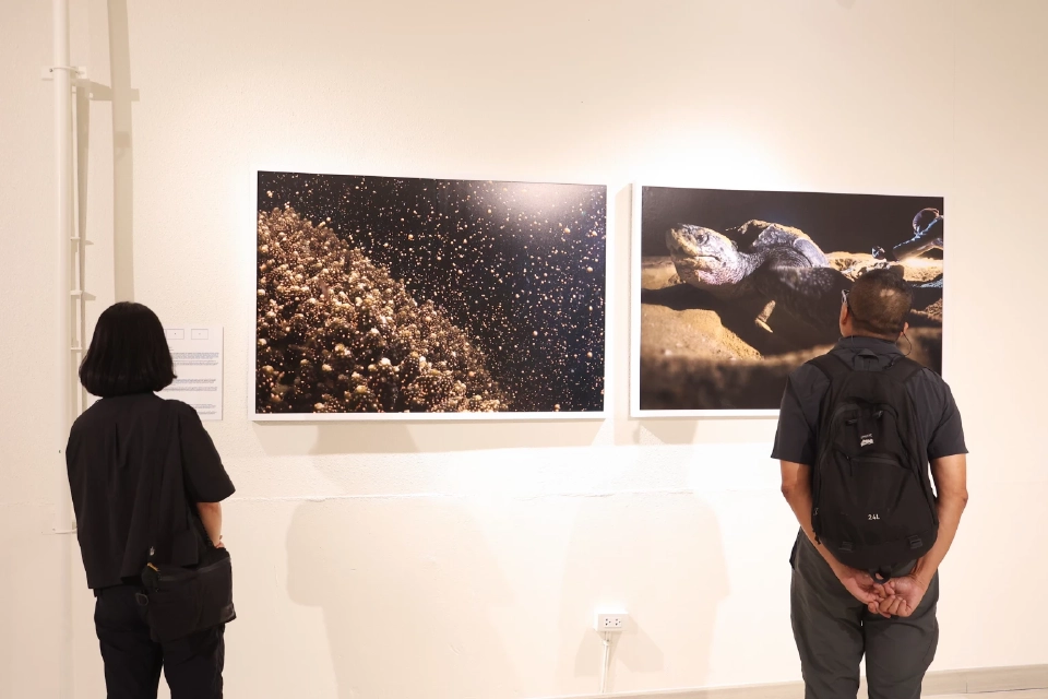 สยามพารากอนชู Soft Power เปิดพื้นที่นิทรรศการทะเลโลก TIDE OF TOMORROW