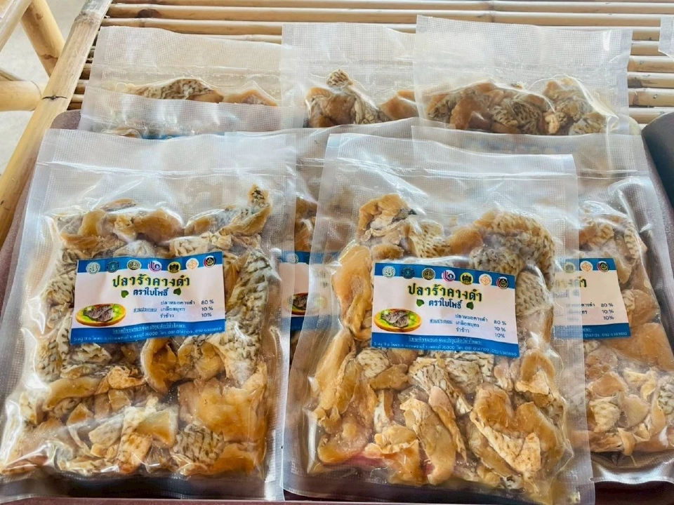 อยู่ร่วมอย่างรู้เท่าทัน : วิกฤตคือโอกาส “ปลาต่างถิ่น” ในสังคมไทย