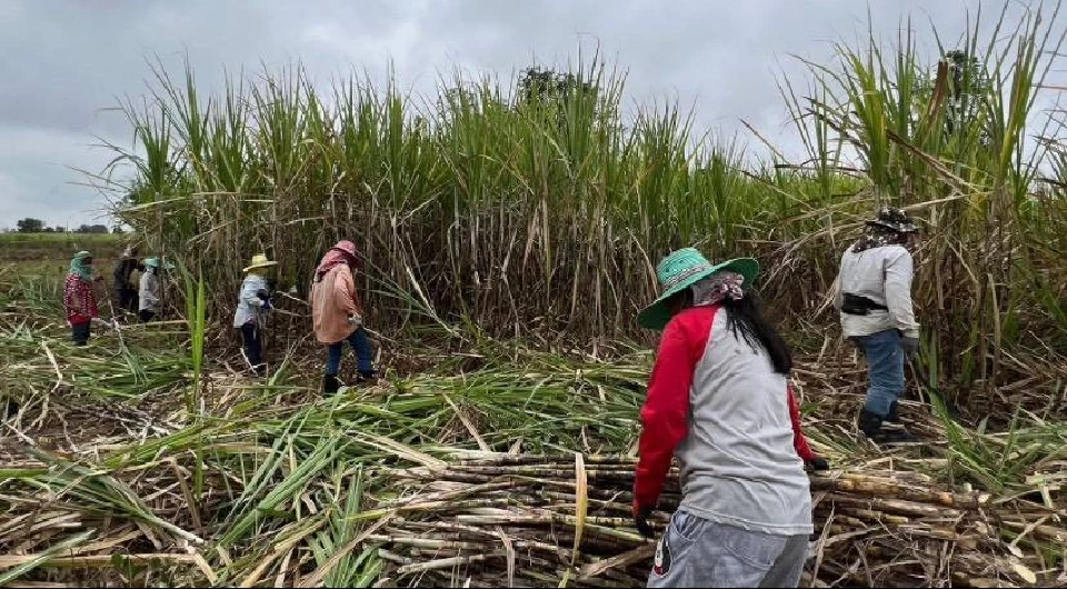 รองนายกฯ สั่งคุมเข้มโรงงานน้ำตาล-ชีวมวล ลด PM2.5 ก่อนเข้าสู่ฤดูเสี่ยง