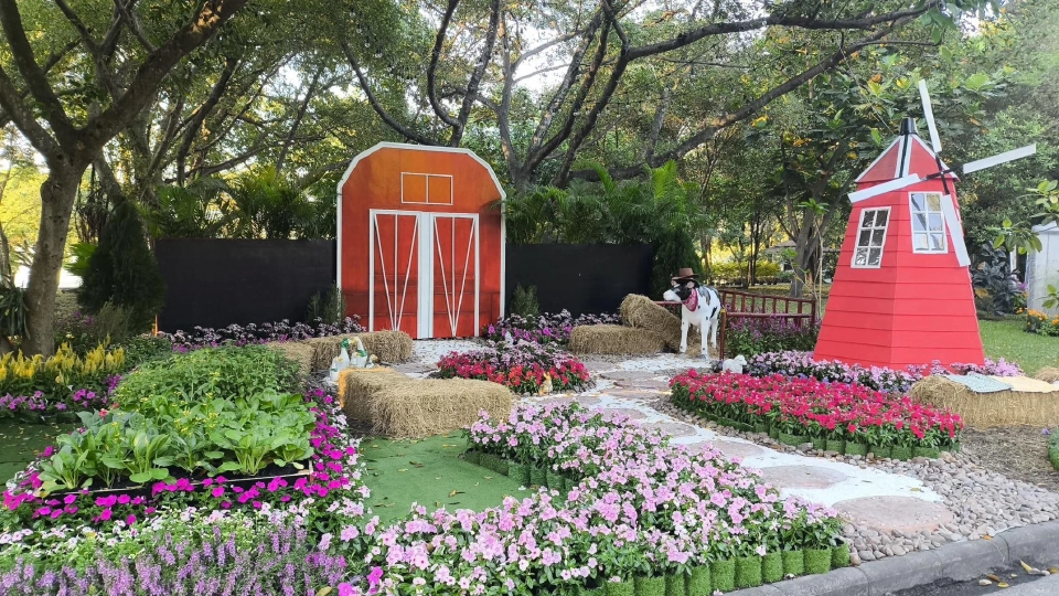 งานพรรณไม้งามอร่ามสวนหลวง ร.9 เริ่ม 1-10 ธ.ค.68 เช็กไฮไลต์ เวลาเปิด-ปิด