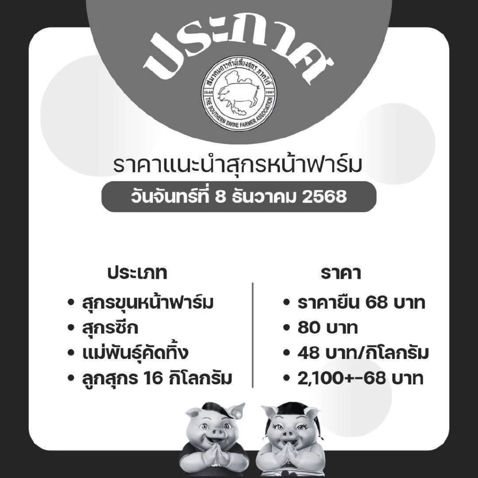 วันพรุ่งนี้ 'หมูประกาศราคายืน' ผู้เลี้ยงโอดขาดทุน 300-800 บาท/ตัว