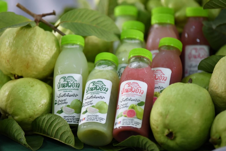 'ฝรั่งสามพราน' สินค้า GI ราคาพุ่งกว่า 2 เท่า สร้างรายได้ 350 ล้าน/ปี