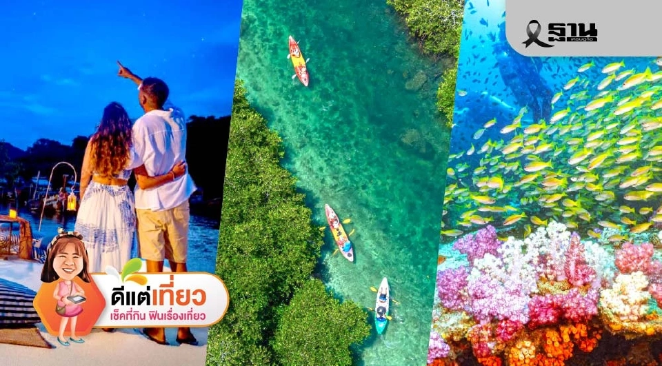 ติดเกาะสุดชิลล์ SAii Phi Phi Island Village ธรรมชาติ ‘เกาะพีพี’ฮีลใจ