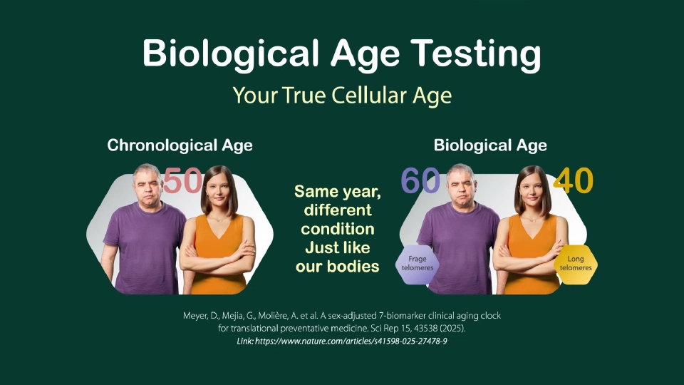 บำรุงราษฎร์ ทุ่ม 4,300 ล้าน เปิดโรงพยาบาลที่ภูเก็ต ปี 2570 รับ World Class Longevity Hub