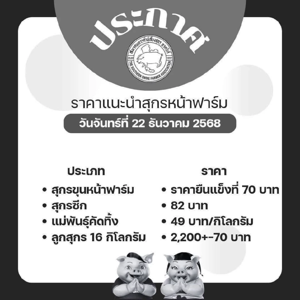 ผู้เลี้ยงหมูเฮ! ราคาหมู ปรับขึ้น 2 บาทต่อกิโลกรัม มีผลวันนี้