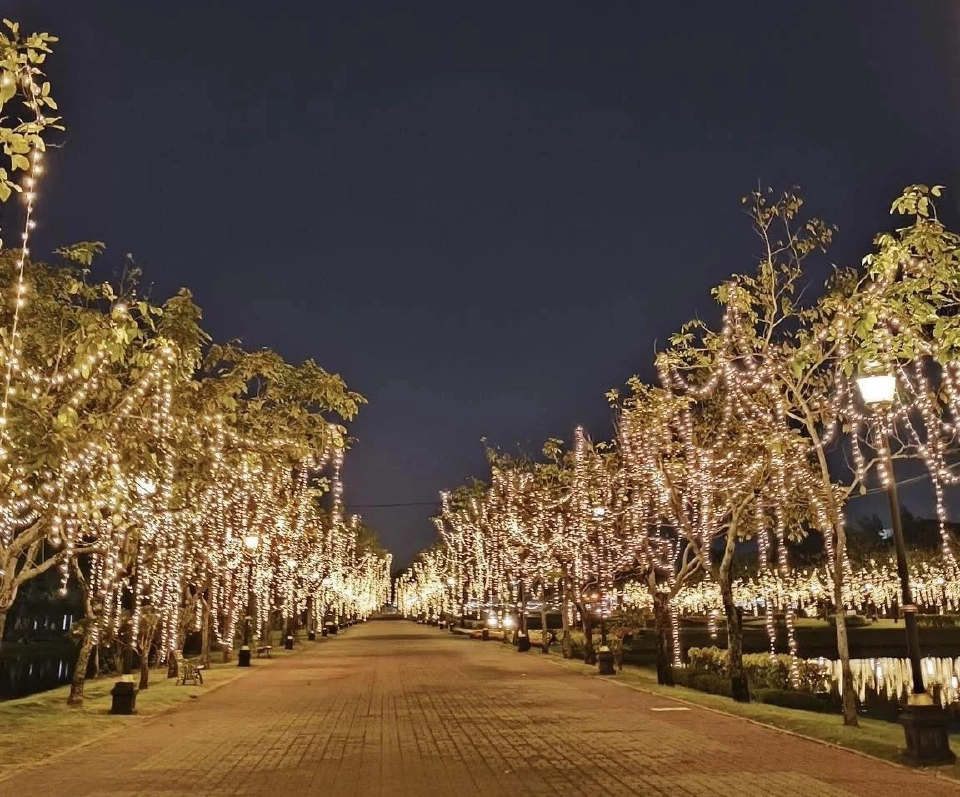 สวนหลวง ร.9 ชวนเที่ยวงานพรรณไม้งามอร่ามสวนหลวง ร.9 เริ่มแล้ววันนี้ 1-1 ธันวาคม 2568