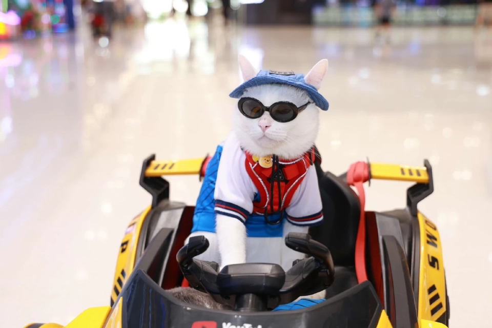 สัตว์เลี้ยงป่วยเรื้อรังเพิ่ม "สเต็มเซลล์" ถูกจับตาเป็นทางเลือกใหม่ยุค Pet Parenting