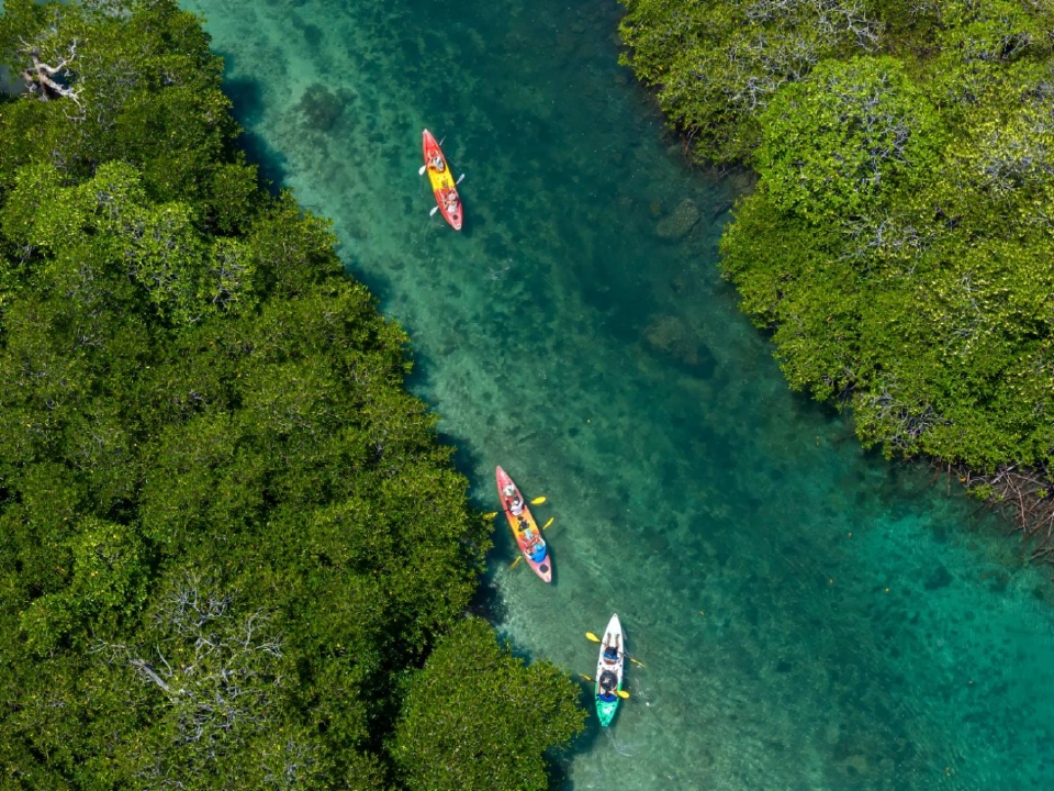 ติดเกาะสุดชิลล์ SAii Phi Phi Island Village ธรรมชาติ ‘เกาะพีพี’ฮีลใจ