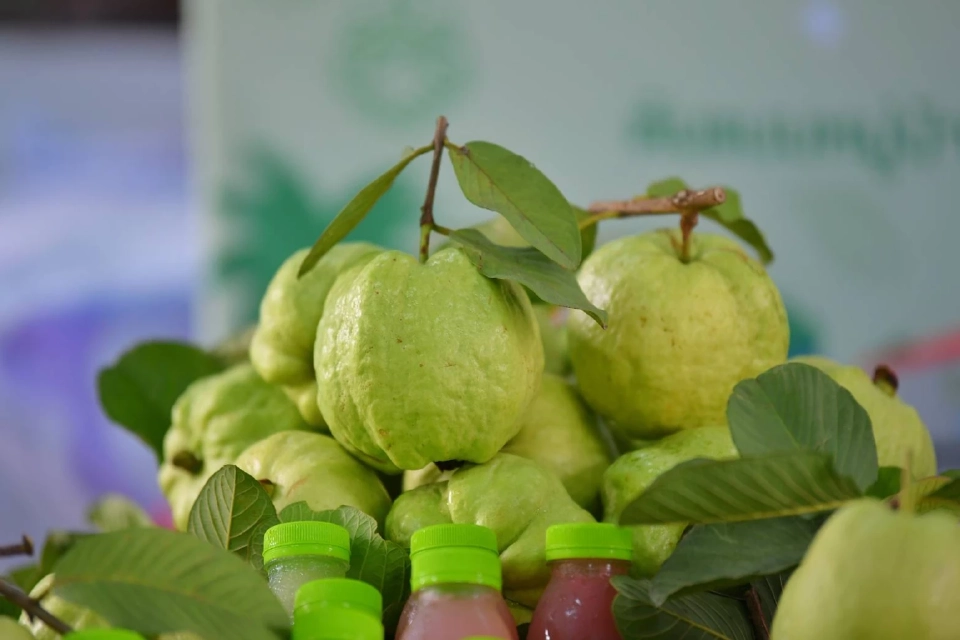 ฝรั่งสามพราน