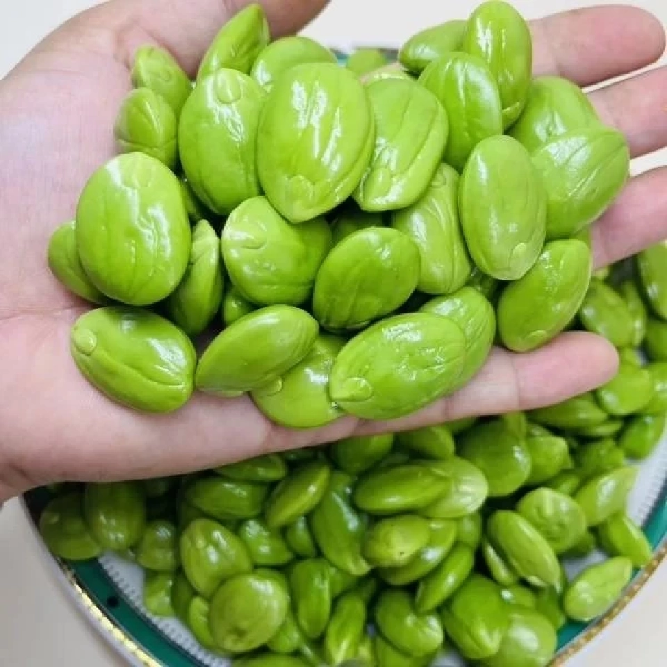 สตอข้าว