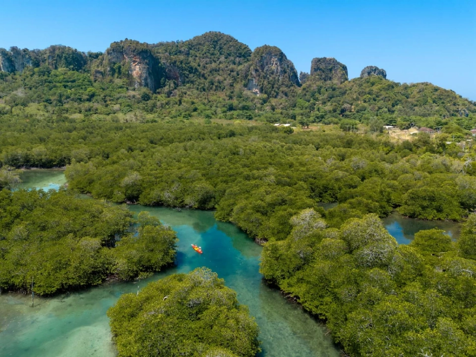 ติดเกาะสุดชิลล์ SAii Phi Phi Island Village ธรรมชาติ ‘เกาะพีพี’ฮีลใจ