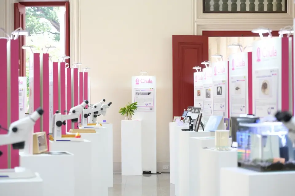 เปิด 43 สิ่งมีชีวิตใหม่ของโลก ปรากฏการณ์ใหม่ทางวิทยาศาสตร์ไทย