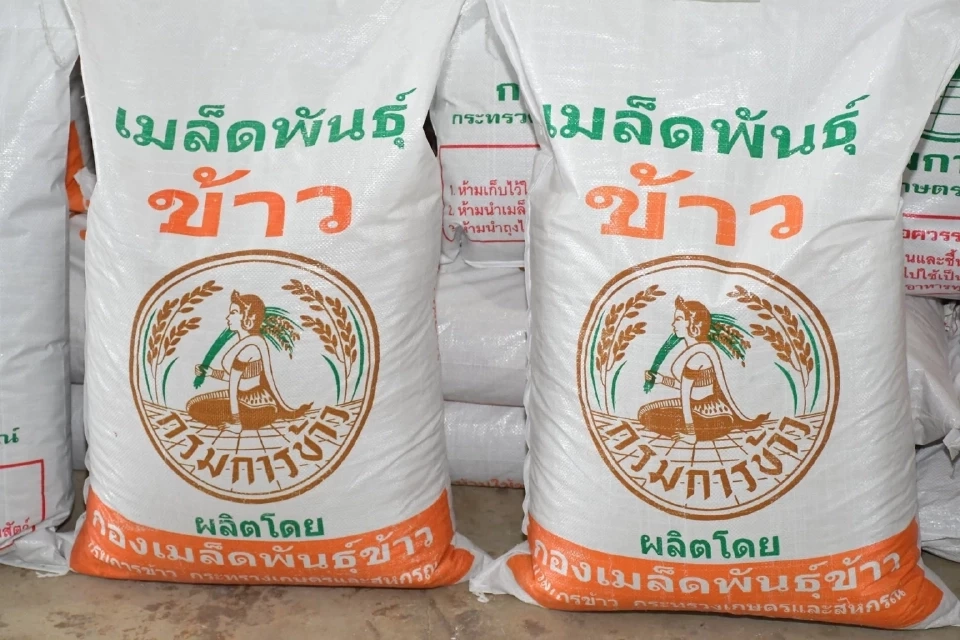 มาเป็นปีที่ 3 “เมล็ดพันธุ์ข้าว” ราคาถูก กิโลกรัมละ 3-5 บาท