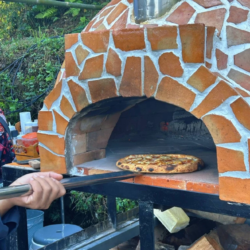 บานสะพรั่ง'เชียงรายดอกไม้งาม' ละลานตาทุ่งดอกไม้ เที่ยวเชียงราย ชิลล์ๆรับลมหนาว