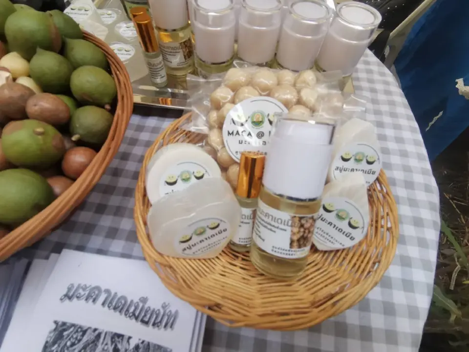 กรมวิชาการเกษตรปั้น EXcellent Center ดัน “มะคาเดเมีย–กาแฟ–อโวกาโด” สู่พืชเศรษฐกิจมูลค่าสูง