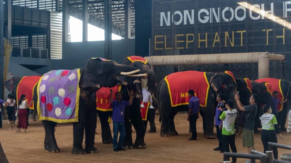 สวนนงนุช พัทยา เปิดไฮไลต์ต้องห้ามพลาด พร้อมกิจกรรม