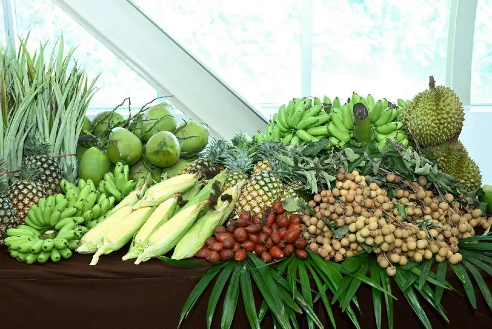 เกษตรฯ ดันเยาวชนฝึกงานญี่ปุ่น ปั้นผู้ประกอบการเกษตรรุ่นใหม่ สู่ตลาดสากล