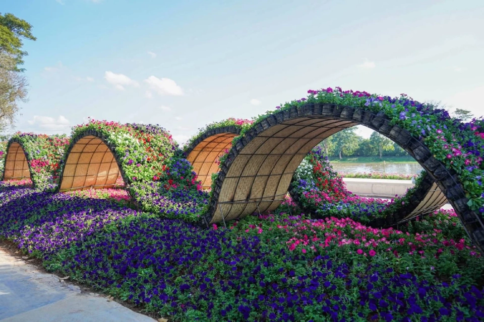 บานสะพรั่ง'เชียงรายดอกไม้งาม' ละลานตาทุ่งดอกไม้ เที่ยวเชียงราย ชิลล์ๆรับลมหนาว