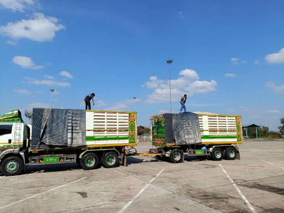 พาณิชย์ สั่งระงับนำเข้ามันเส้น 9 ราย คุณภาพต่ำกว่ามาตรฐาน