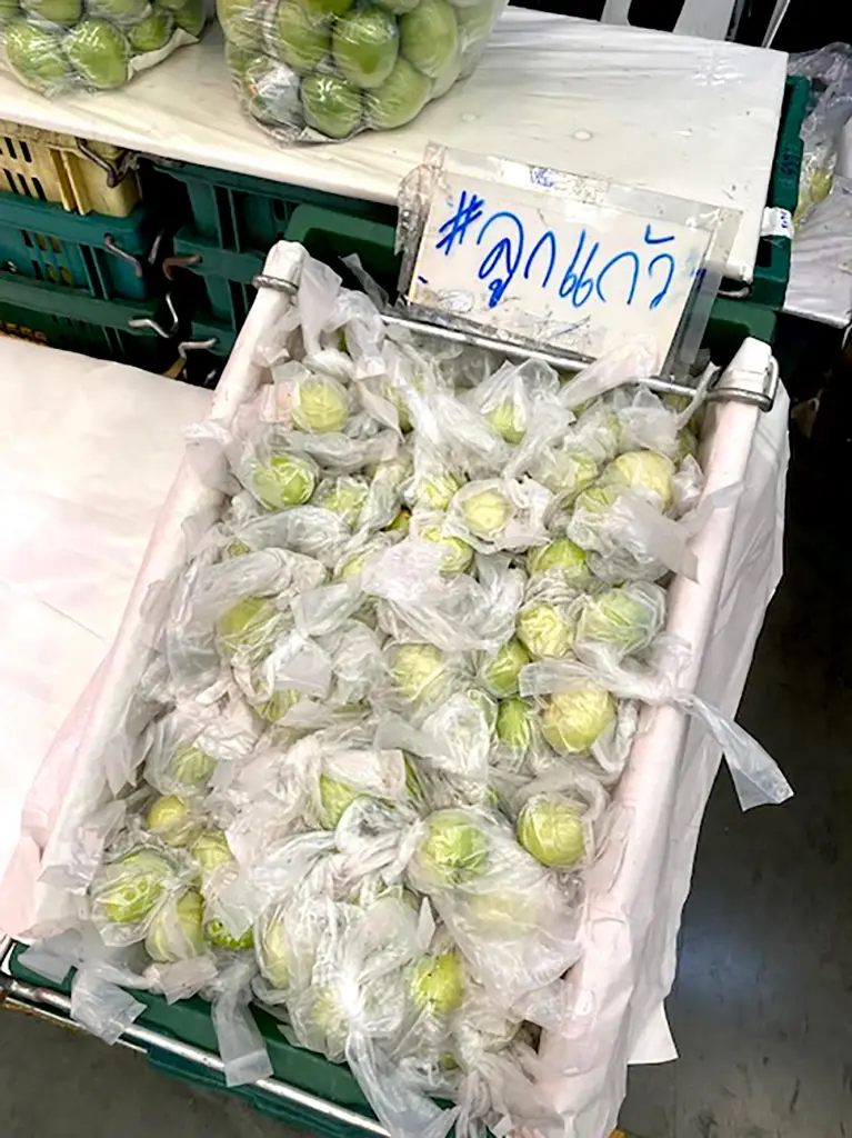 พุทราลูกแก้ว กาแฟโกปี๊