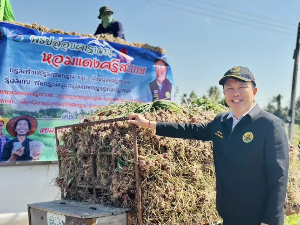 กรมส่งเสริมสหกรณ์ ลุยระบายหอมแดงศรีสะเกษ ดันยอดสั่งซื้อทะลุ 2,000 ตัน