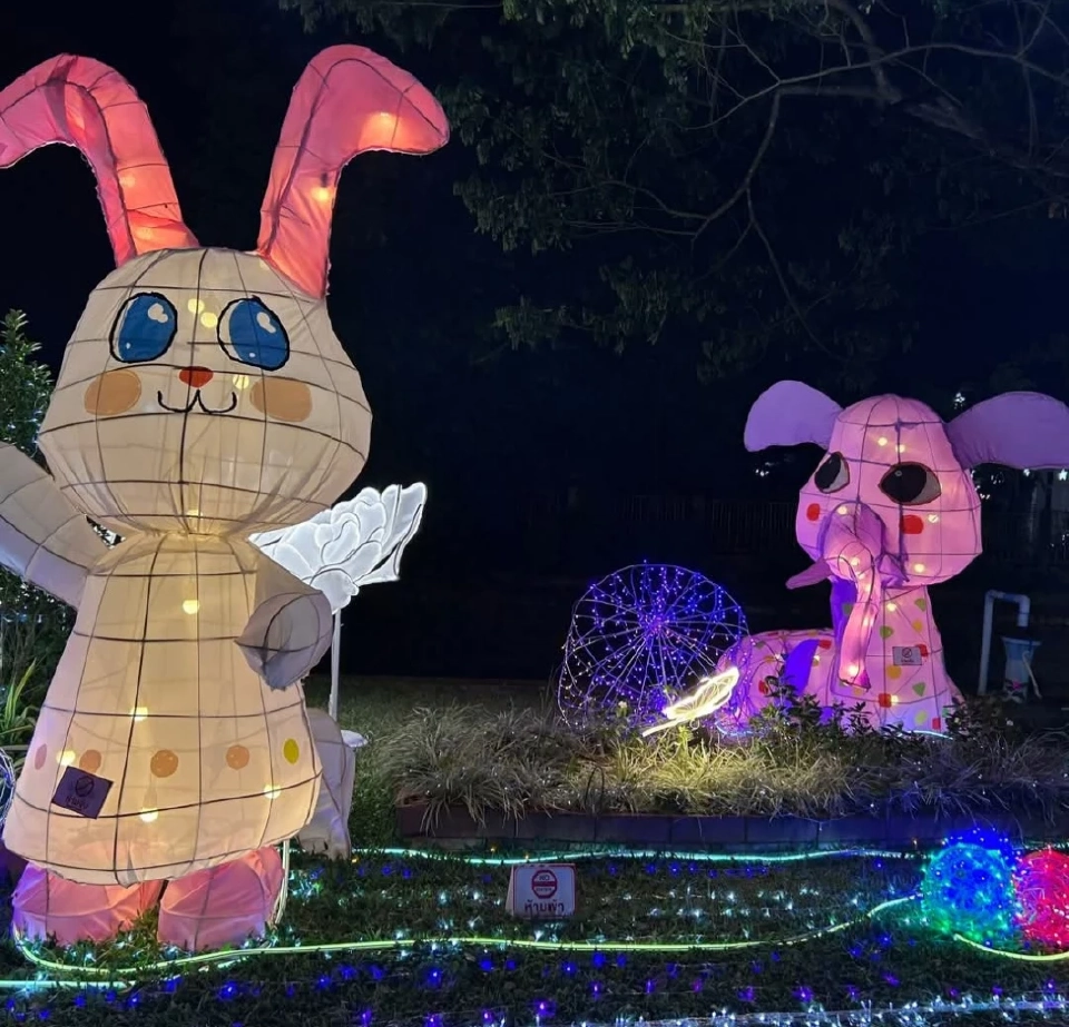 บานสะพรั่ง'เชียงรายดอกไม้งาม' ละลานตาทุ่งดอกไม้ เที่ยวเชียงราย ชิลล์ๆรับลมหนาว