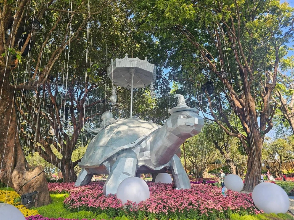 บานสะพรั่ง'เชียงรายดอกไม้งาม' ละลานตาทุ่งดอกไม้ เที่ยวเชียงราย ชิลล์ๆรับลมหนาว