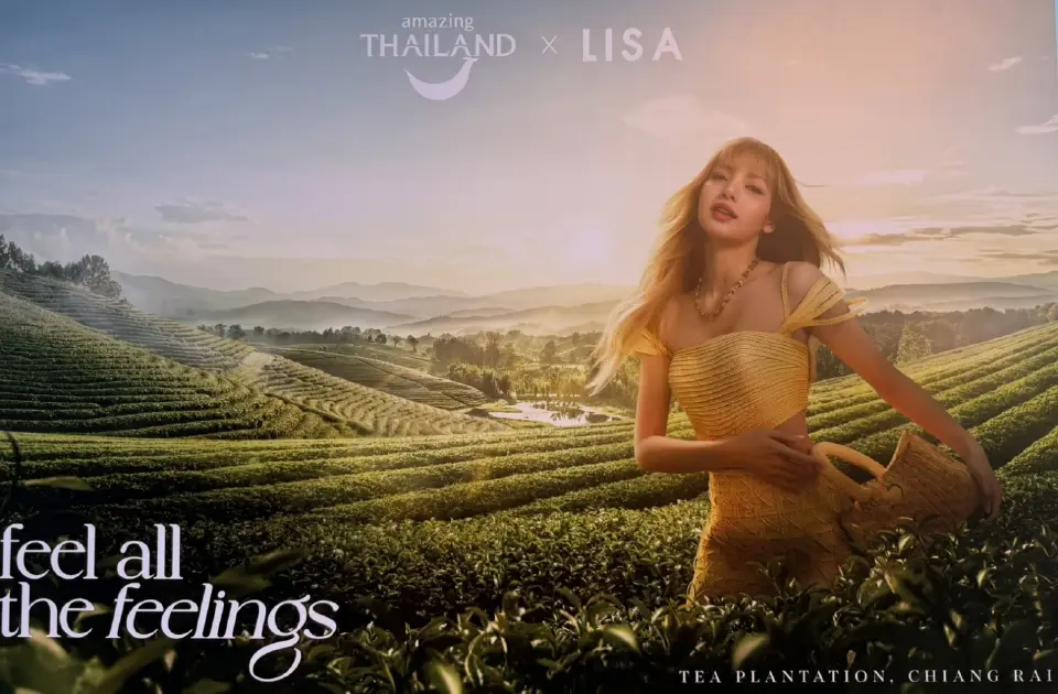 ไร่ชาฉุยฟง เชียงราย