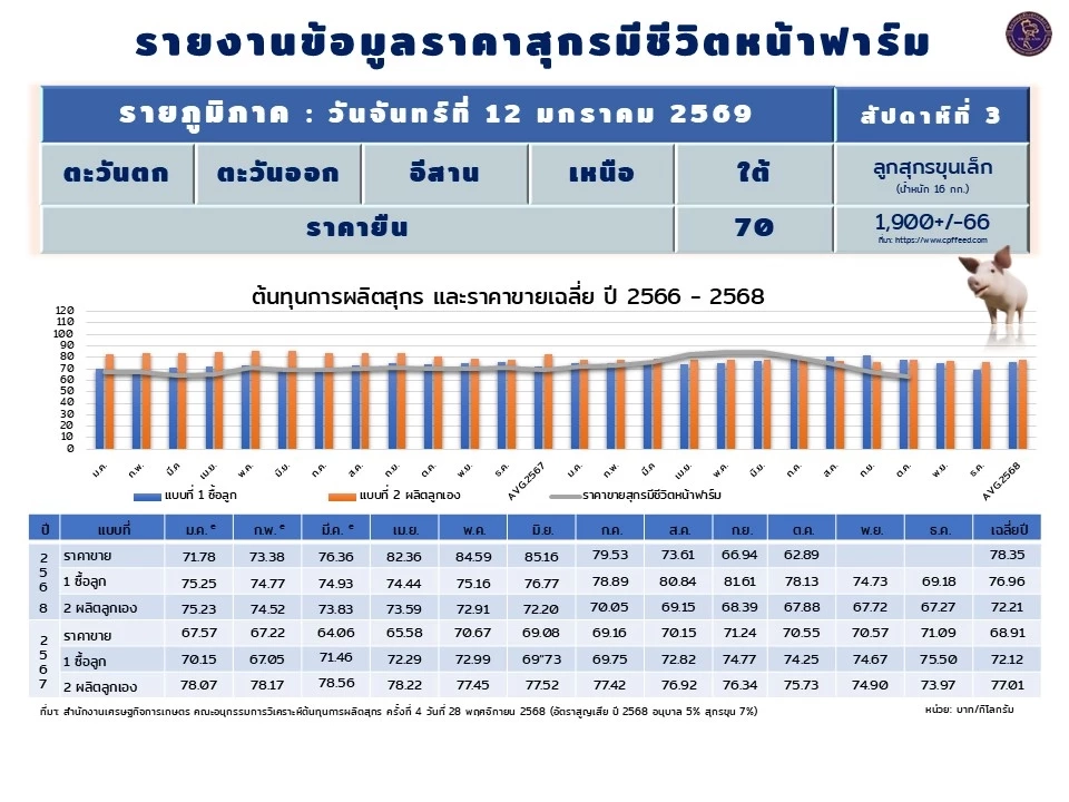 ผู้เลี้ยงหมู ประกาศราคาหน้าฟาร์มยืนที่ 74 บาท/ กก. 3 สัปดาห์ติด  ผู้เลี้ยงโอดขาดทุน 300-800 บาท/ตัว