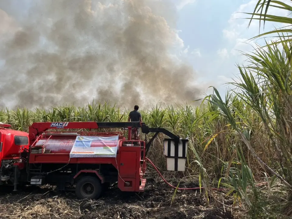 มาตรการห้ามเผา