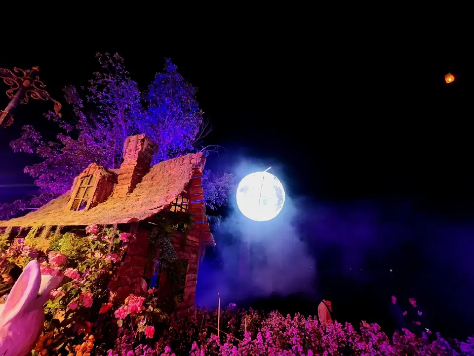 อลังการ 'เคาท์ดาวน์พะเยา' เนรมิตกว๊านพะเยา พลุ โดรน ทุ่งดอกไม้แสงสีตระการตา