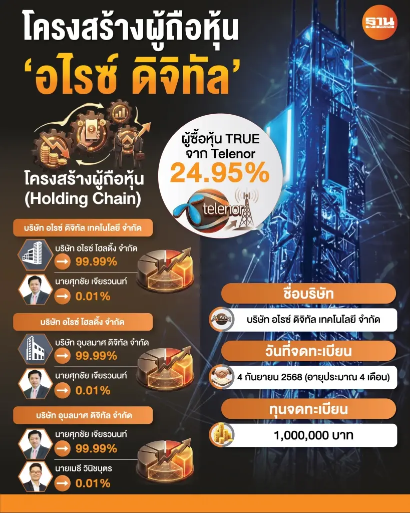 โครงสร้างผู้ถือหุ้น "อไรซ์"