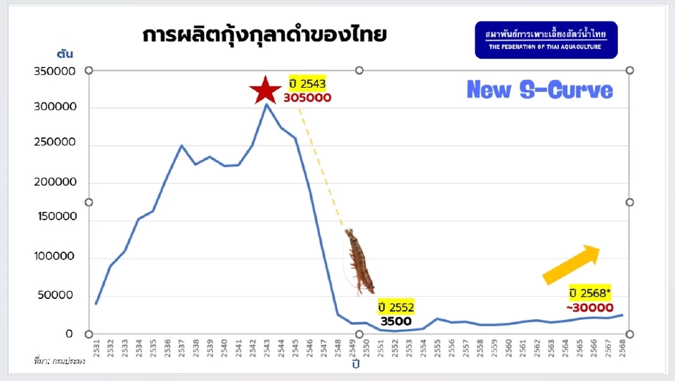 ‘กุ้งกุลาดำ’ คืนบัลลังก์ ปี 2569 ผลผลิตโต 18% ราคาแรงกว่ากุ้งขาวเกือบ 40 บาท/กก.