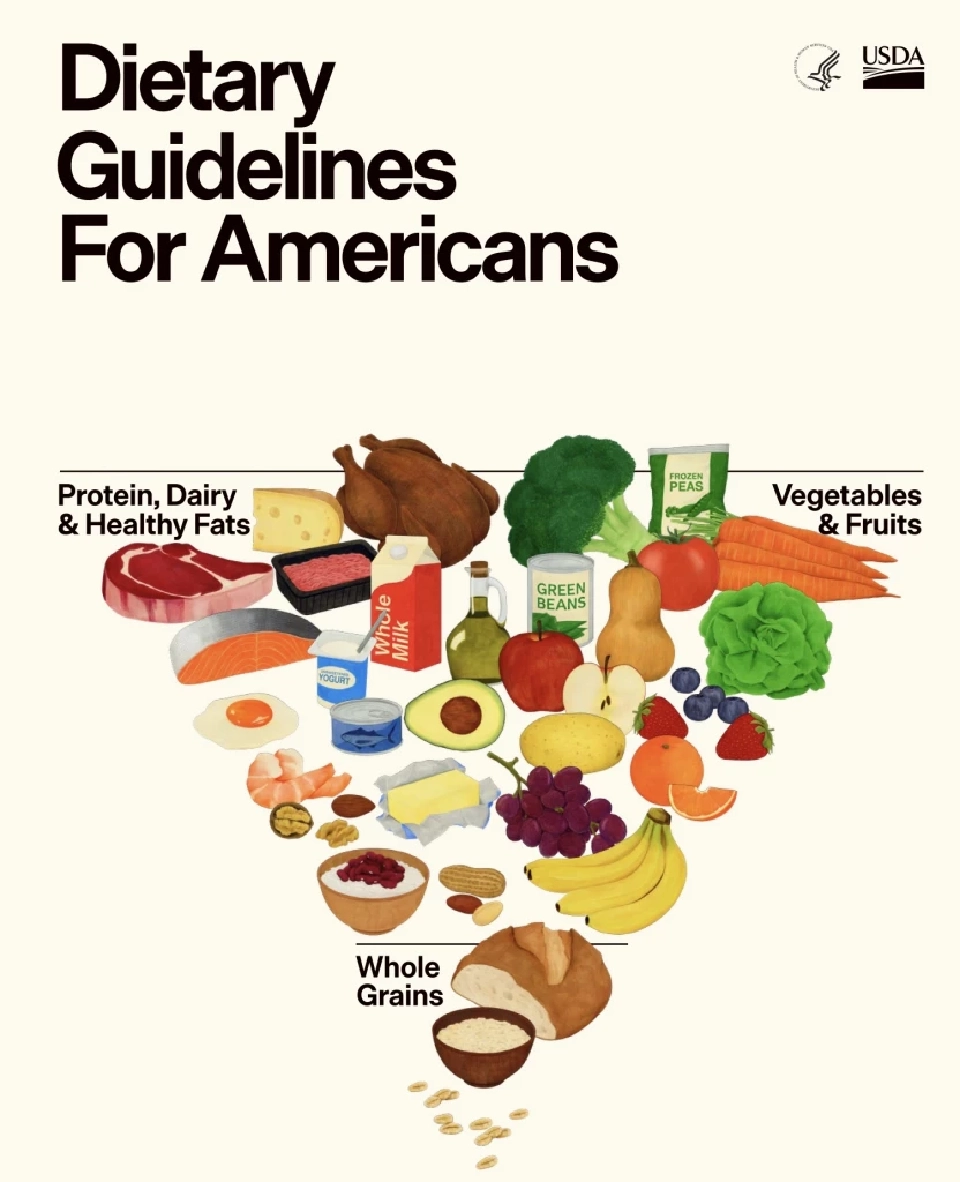 รู้จักการกินแบบ ‘พีระมิดอาหารหัวกลับ’ ของสหรัฐฯ ปฏิวัติโภชนาการ กู้วิกฤตร่างพัง