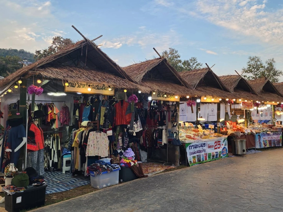 บานสะพรั่ง'เชียงรายดอกไม้งาม' ละลานตาทุ่งดอกไม้ เที่ยวเชียงราย ชิลล์ๆรับลมหนาว