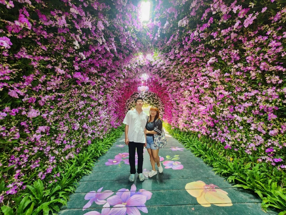 บานสะพรั่ง'เชียงรายดอกไม้งาม' ละลานตาทุ่งดอกไม้ เที่ยวเชียงราย ชิลล์ๆรับลมหนาว