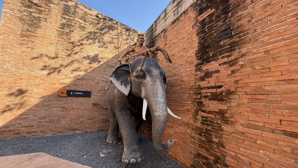 เปิด 3 ลำดับชั้น "ช้างไทย" มรดกศักดิ์สิทธิ์ที่โลกต้องตะลึง