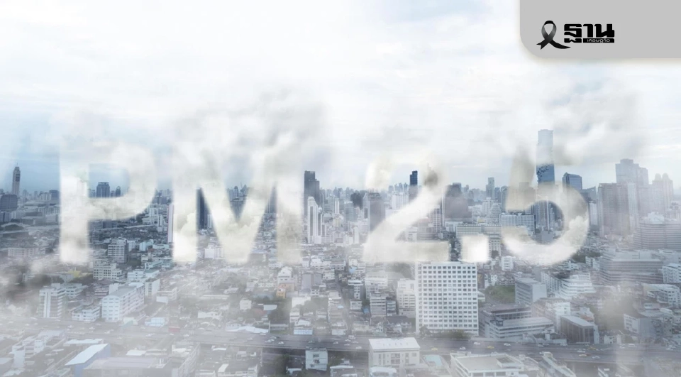 วิกฤต PM 2.5 แพทย์แนะวิธีบรรเทาพิษจากฝุ่นทั้งระบบหายใจ ผิวหนัง ตา