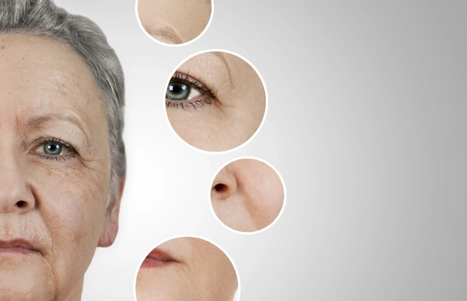 นักวิจัยไทยชู 2 นวัตกรรมการฟื้นฟูผิว จับเทรนด์ความงามปี 2026