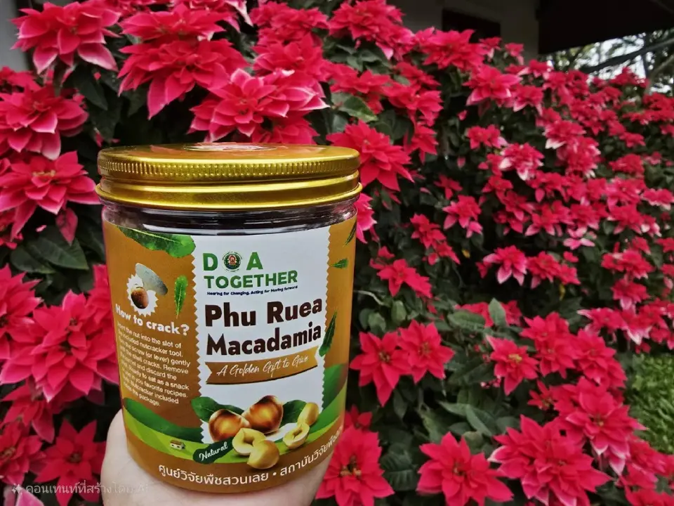 กรมวิชาการเกษตรปั้น EXcellent Center ดัน “มะคาเดเมีย–กาแฟ–อโวกาโด” สู่พืชเศรษฐกิจมูลค่าสูง