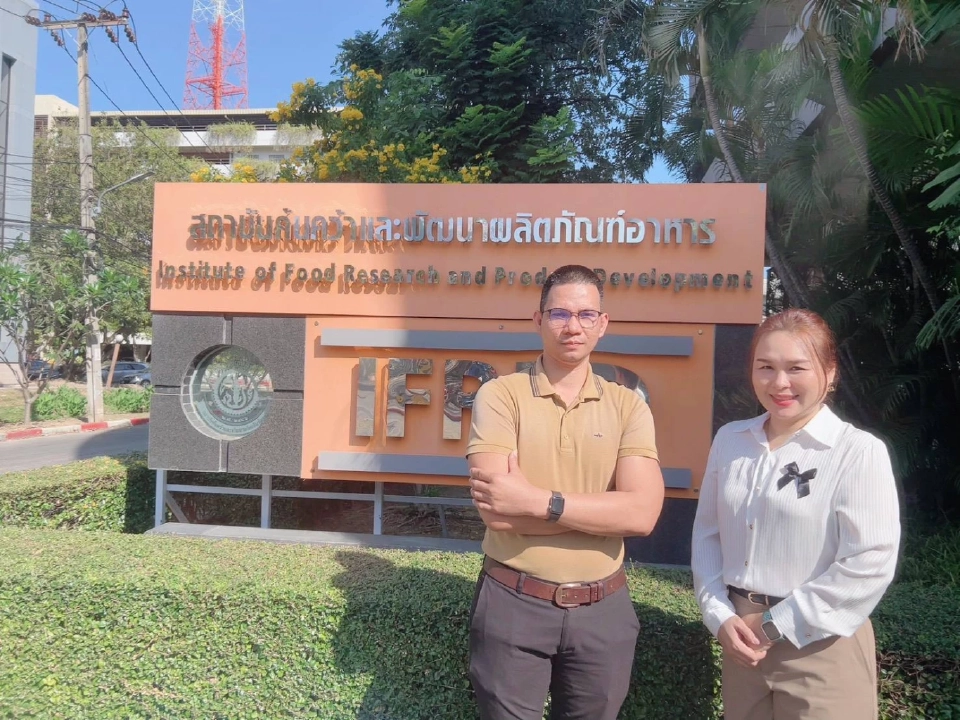 “เนื้อปลาฟู” นวัตกรรมกินเพื่อคุม เปลี่ยนปลาต่างถิ่นเป็นโอกาสเศรษฐกิจชุมชน